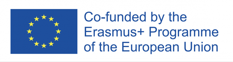 Erasmus+ project "From Emotional Management to Emotional Resilience" (EMER)